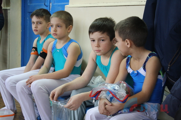 Спортивные гимнасты ЛНР и РФ приняли участие в открытом первенстве в Луганске (ФОТО)