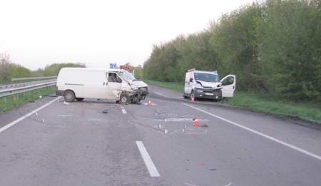 Водитель в Ровенской области сбил лося и погиб 