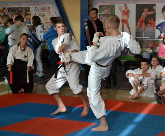 Сборная ЛНР стала победителем Кубка ДНР по традиционному каратэ-до