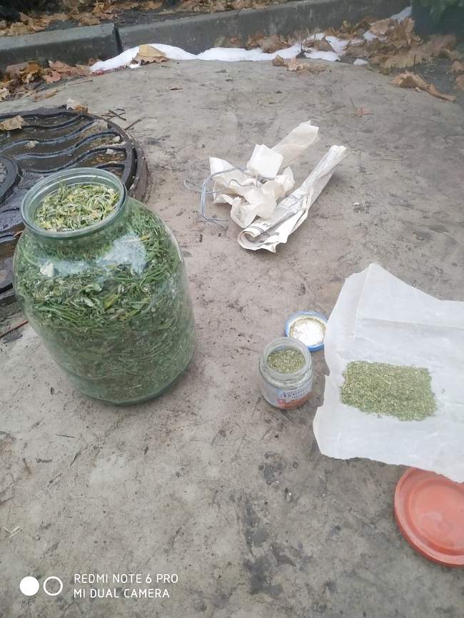 У жителя Республики обнаружено и изъято около 1 кг наркотического средства - марихуаны