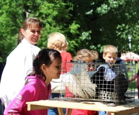 3 июня в Луганске состоялась выставка декоративных птиц и животных