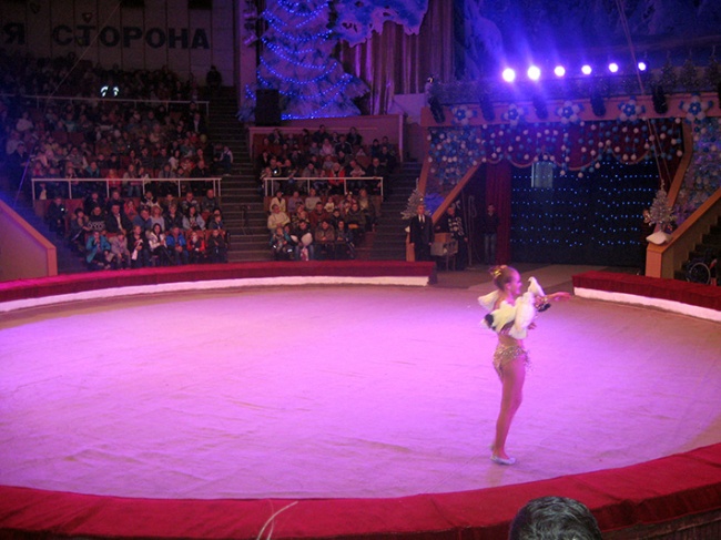 Новая программа  "Новогодняя сказка" начнется в  цирке Луганска с 23 декабря