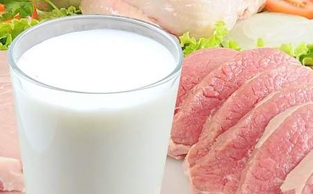 В Республике увеличилось производство молока, яиц и мяса