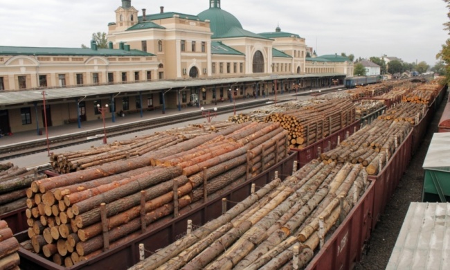 Украина является крупнейшим поставщиком контрабандного леса в ЕС