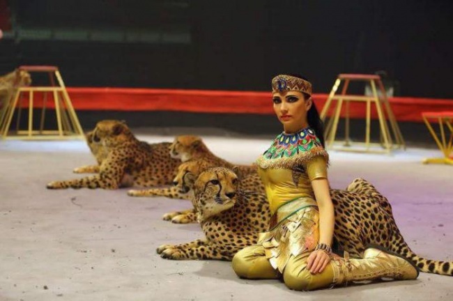 Всемирно известная дрессировщица Дарья Костюк откроет новый сезон в Луганском государственном цирке