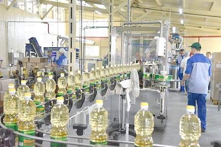 Производство подсолнечного масла в ЛНР увеличилось в 14 раз