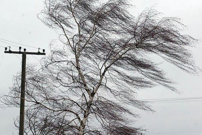 Почти 3,9 тыс. абонентов Республики остались без электроснабжения из-за аварийных отключений, вызванных штормовым ветром и мокрым снегом
