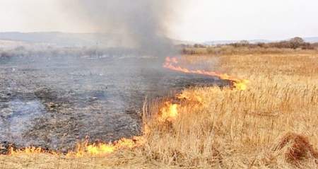 Пожары за сутки уничтожили в ЛНР 34,4 га сухой травы и мусора
