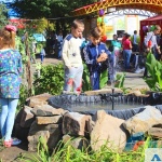 Луганск День Города 2017 -1353