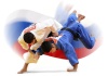 Дзюдоисты ЛНР завоевали восемь медалей на турнире в России