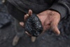 Прокуратура Антрацита провела проверку соблюдения природоохранного законодательства при добыче каменного угля и нашла нарушения