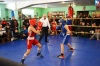 В турнире по боксу в Луганске  приняли участие более 90 спортсменов из восьми городов ЛНР  (фото)