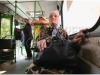В ЛНР  продлили право 50% скидки на проезд в общественном транспорте для пенсионеров