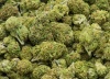 Стражи порядка изъяли марихуаны, метадона и маковых головок
