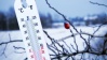 Жертвами холодов за прошедшие дни в ЛНР стали ещё три человека