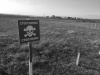Боевики установили знаки минной опасности, чтобы скрыть технику от ОБСЕ