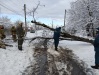 На ул. Украинской старое дерево упало на проезжую часть.