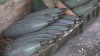 Сотрудники МВД ЛНР обследовали брошенные позиции ВФУ в Славяносербском районе
